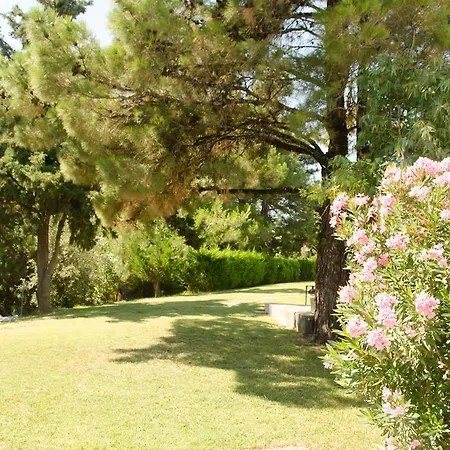 Angelbay Appartement