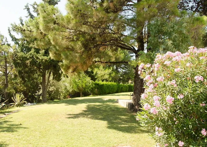 Angelbay Appartement